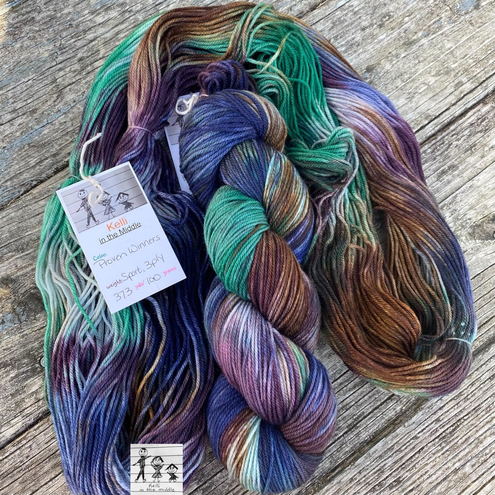 Sewing & Fiber Proven Winners Sport Merino/Nylon hand dyed yarn