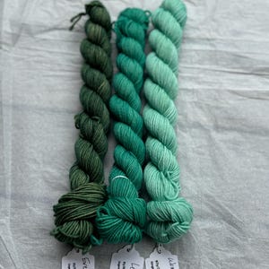 Pu&ograve; includere: Tre gomitoli di filato di peso fingering in tonalit&agrave; di verde. I gomitoli sono etichettati "Wintmgrion", "Leaf" ed "Evergreen".