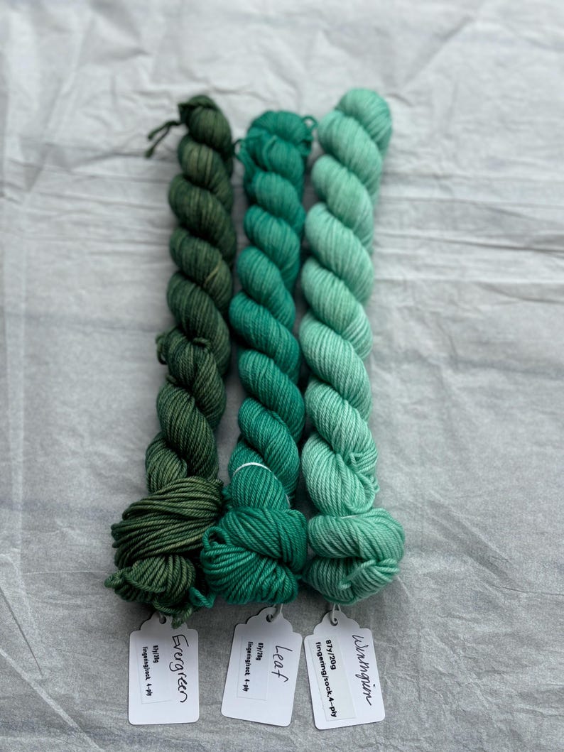 Pu&ograve; includere: Tre gomitoli di filato di peso fingering in tonalit&agrave; di verde. I gomitoli sono etichettati "Wintmgrion", "Leaf" ed "Evergreen".