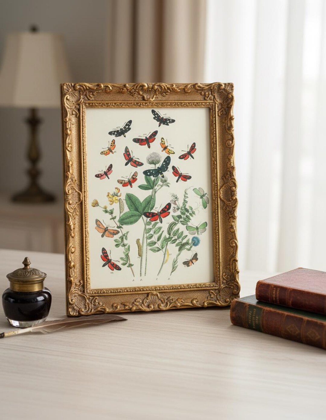 Vintage Butterfly Botanical Print Wall Art Nature Lover Gift - Etsy