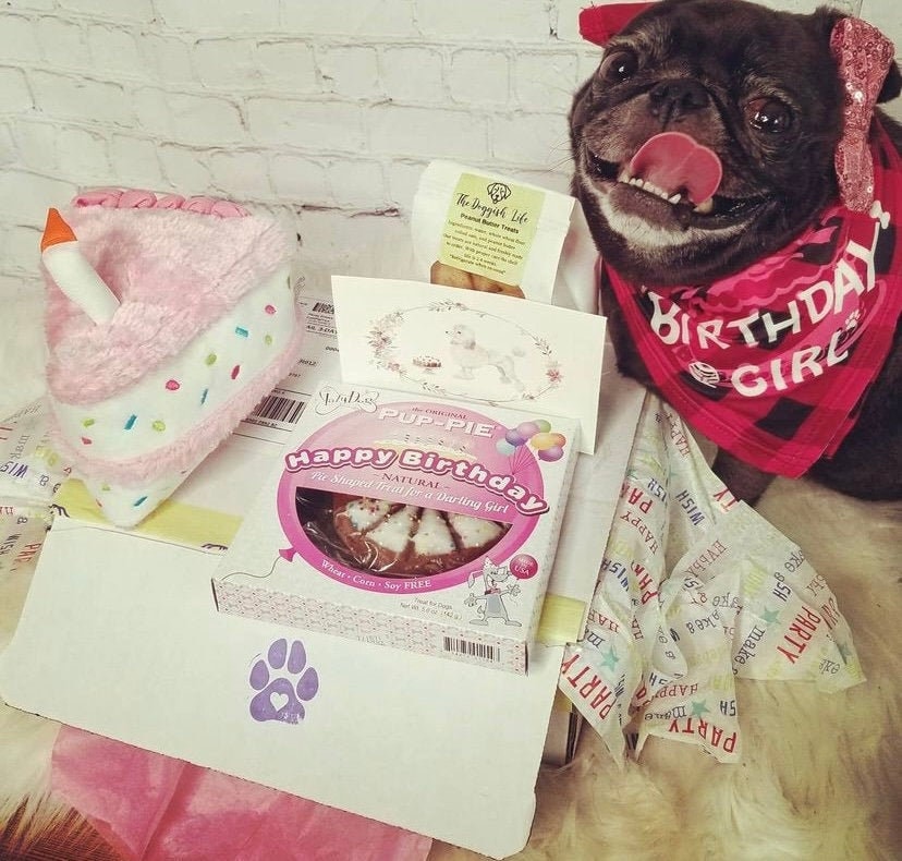 Dog Gift Box Dog Birthday Girl Dog Birthday Box Dog Etsy