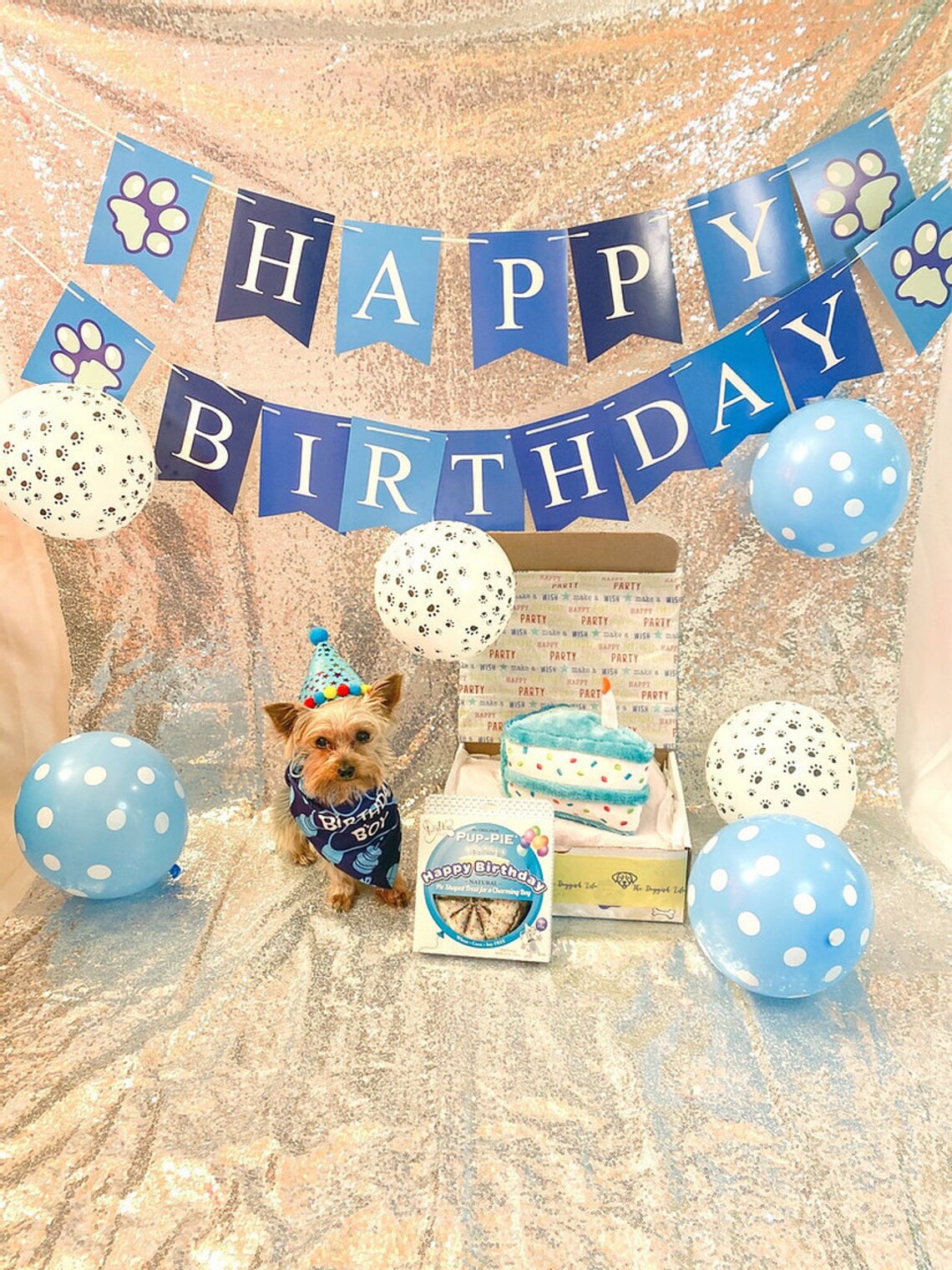 Dog Gift Box Dog Birthday Girl Dog Birthday Box Dog Etsy