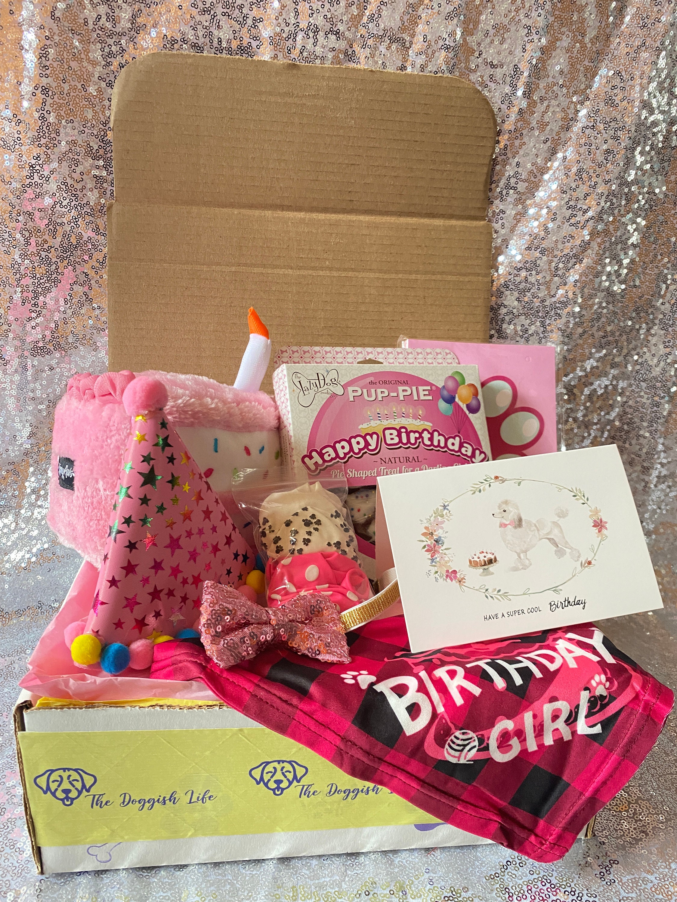 Dog Gift Box Dog Birthday Girl Dog Birthday Box Dog Etsy