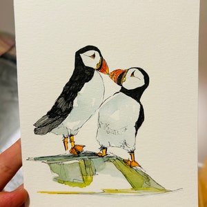 Amour de macareux