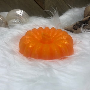 沈んだカボチャのヤドカリの餌入れ