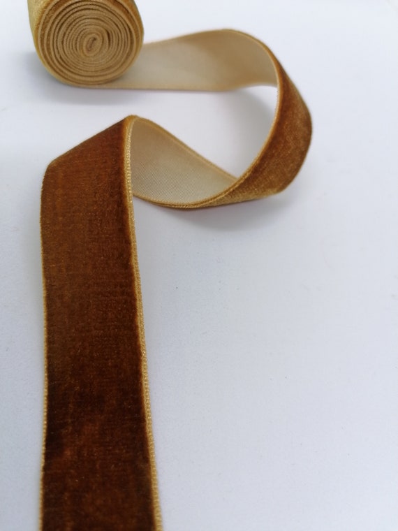 20 Mm Light Brown Velvet Ribbon 0.79 Inch, Embroidered Trim, Light Brown  Border, Wedding Velvet Trim Hair Bow Hat Making Velvet 