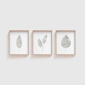 May include: Three framed botanical prints featuring minimalist leaf designs. Each print showcases a different leaf arrangement in black and white, with a light wood frame. The artwork is ideal for adding a touch of nature-inspired decor.