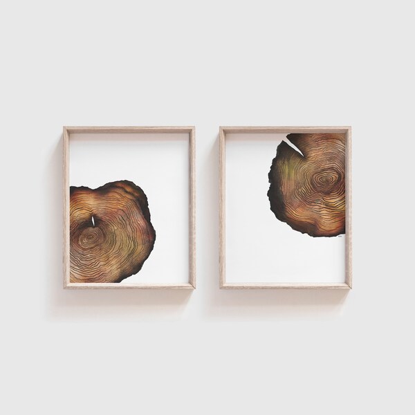 Tree Ring Art Etsy