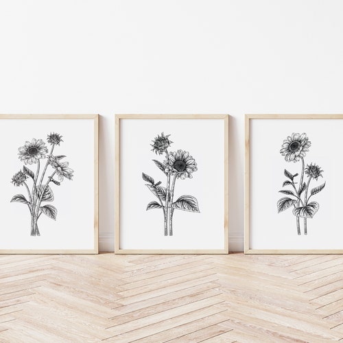 Black and White Sunflower Printable Wall Art Nature Wall Art Etsy