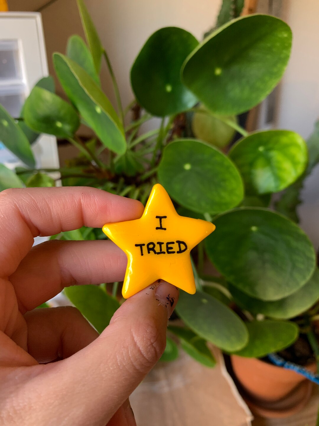 I Tried Gold Star Ceramic Hand Made Ceramic Cute