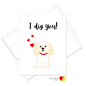 dog inside teddy bear