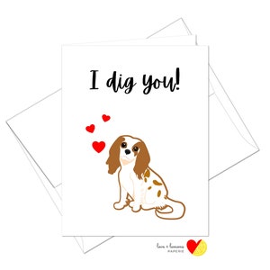 Cavalier King Charles Spaniel - White & Tan, Blenheim - Tarjeta de aniversario del Día de San Valentín I Dig You - Mensaje interior personalizable