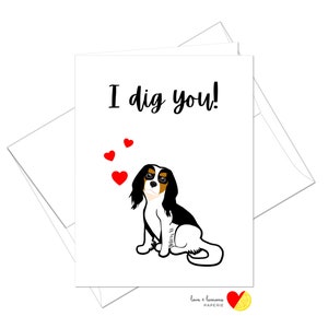 Cavalier King Charles Spaniel - Tri Color - I Dig You Valentines Day Anniversary Card - Mensaje interior personalizable