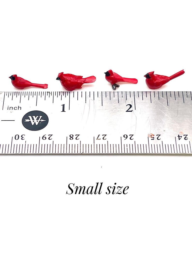 Set de cardenales en miniatura, pajaritos de resina, decoración para casa de muñecas imagen 7