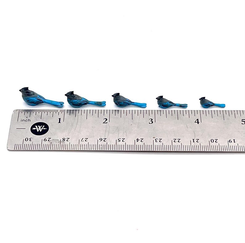 Miniature Blue Jay Bird Set, Tiny Diorama Birds - Etsy