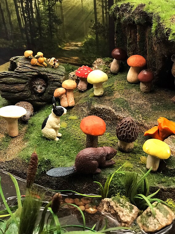 learning mushroom garden