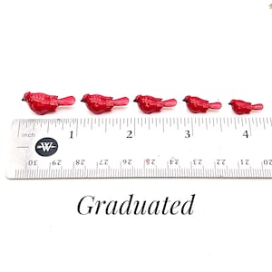 Set de cardenales en miniatura, pajaritos de resina, decoración para casa de muñecas imagen 4