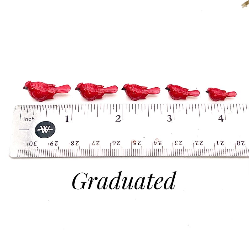 Set de cardenales en miniatura, pajaritos de resina, decoración para casa de muñecas imagen 4
