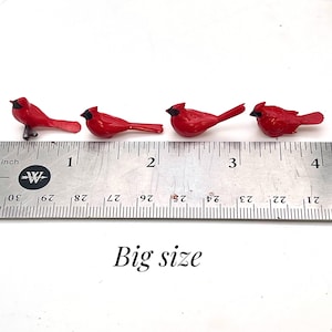 Set de cardenales en miniatura, pajaritos de resina, decoración para casa de muñecas imagen 6