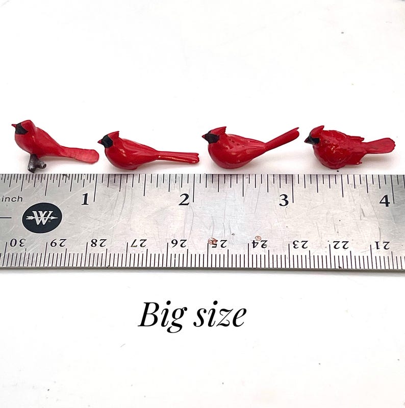 Set de cardenales en miniatura, pajaritos de resina, decoración para casa de muñecas imagen 6