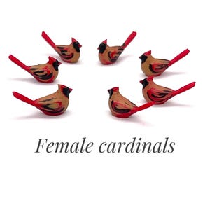 Set de cardenales en miniatura, pajaritos de resina, decoración para casa de muñecas imagen 9