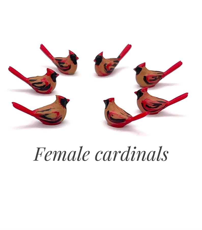 Set de cardenales en miniatura, pajaritos de resina, decoración para casa de muñecas imagen 9