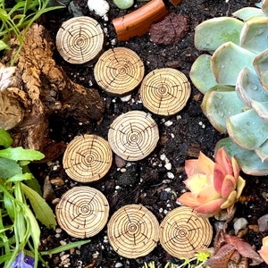10 miniature wooden stepping path, wood slices, fairy garden accessories, miniature garden, fairy supplies