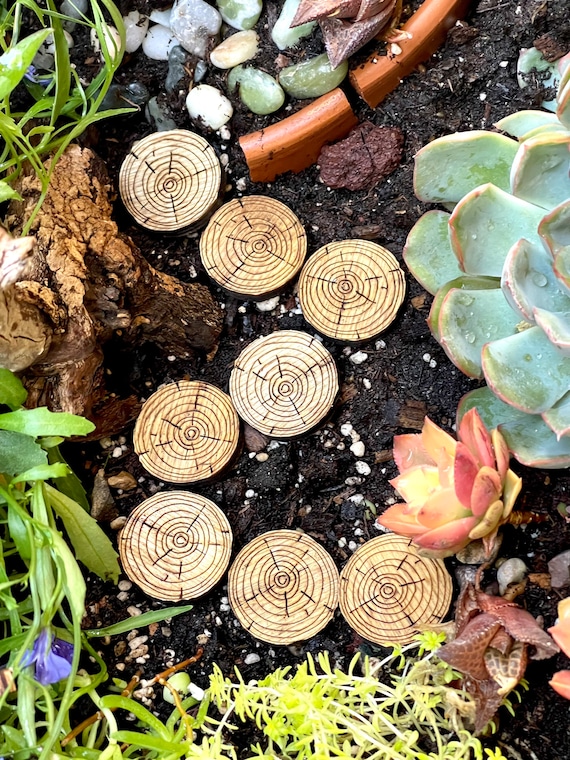 10 Miniature Wooden Stepping Stones, Fairy Garden Accessories