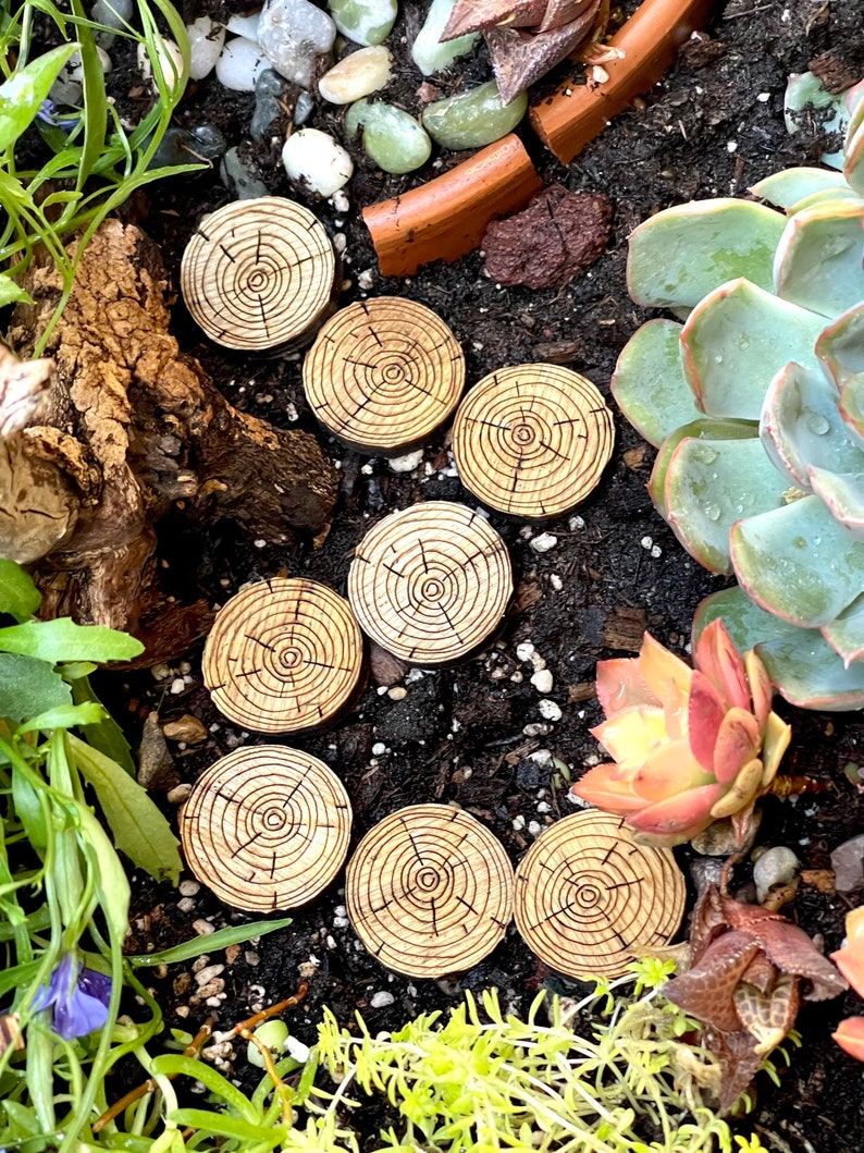 May include: A set of seven wooden stepping stones with a circular design, featuring concentric rings and a rustic brown finish. The stones are arranged in a curved path on a bed of dark brown soil, surrounded by green plants and succulents.