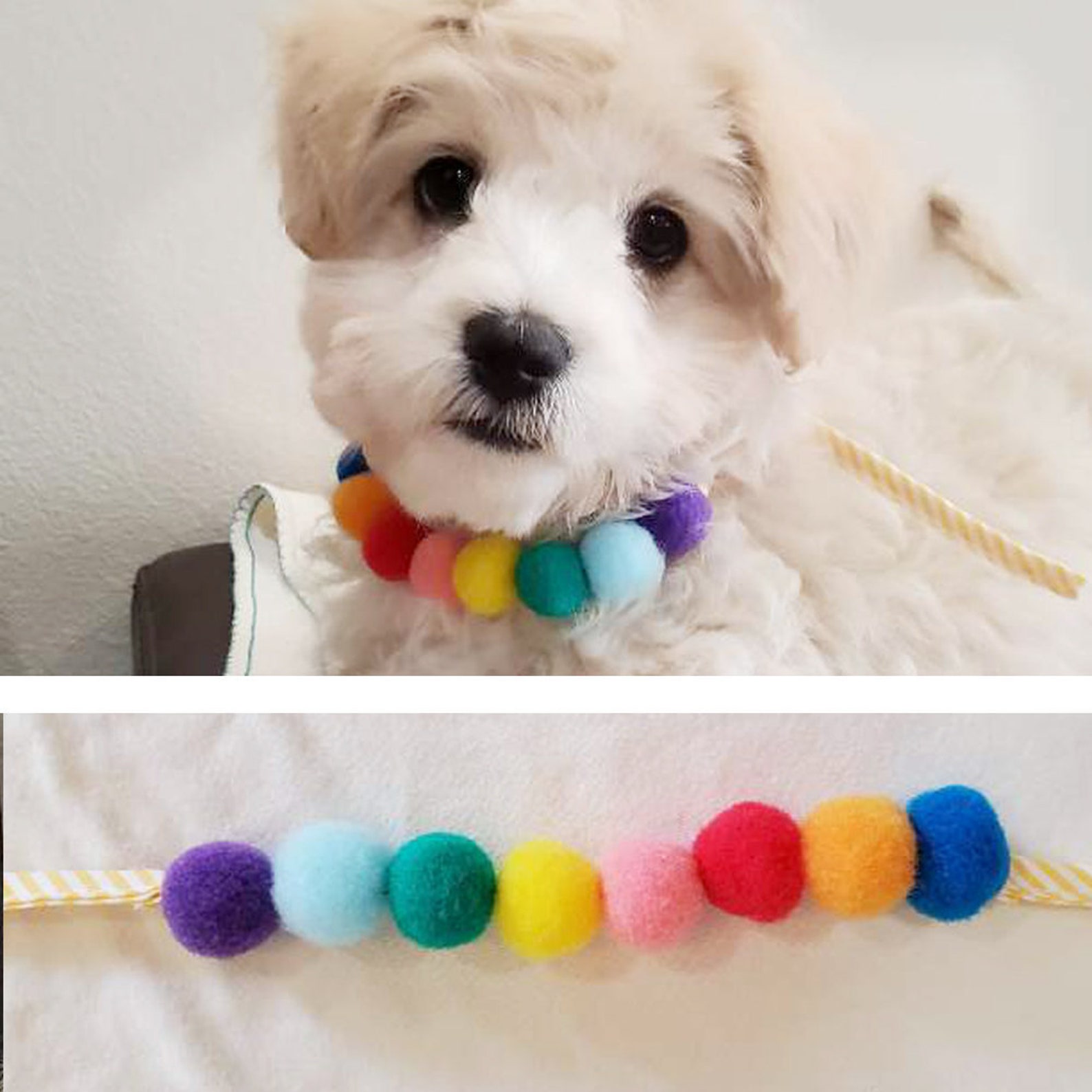 Dog Cat Pet Rainbow Pompom Collar Pom Pom Necklace Accessories Etsy UK