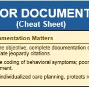 SNF Behavior Documentation Cheat Sheets