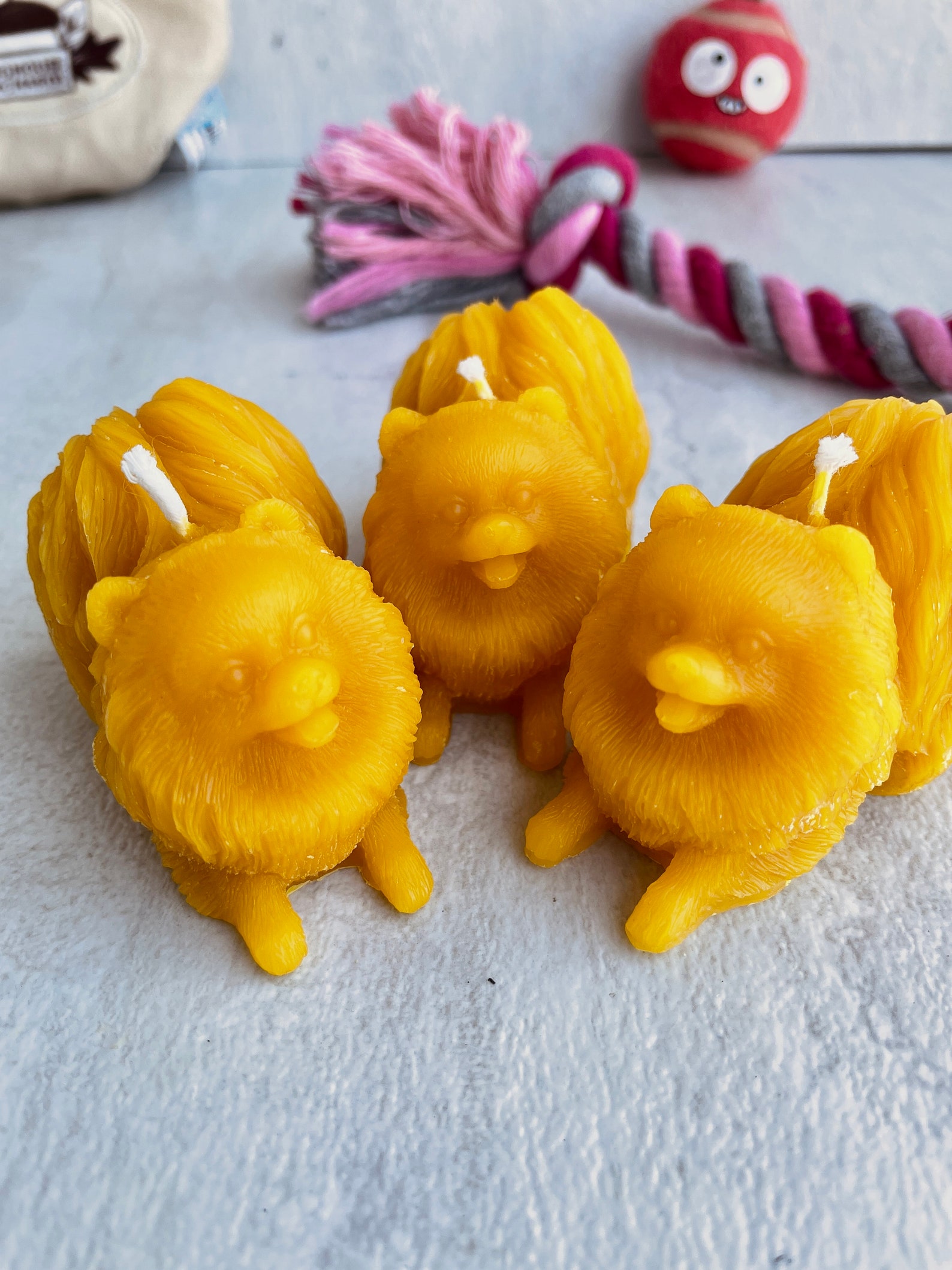 Pomeranian Beeswax Candle Pomeranian Gifts Dog Groomer Etsy