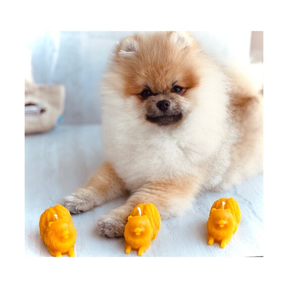 Is Beeswax Toxic To Dogs