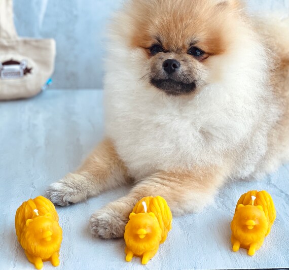 Is Beeswax Toxic To Dogs