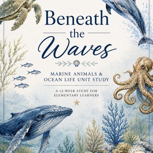 Op de afbeelding: Een boekomslag met de titel Beneath the Waves Marine Animals & Ocean Life Unit Study A 12-Week Study for Elementary Learners. De omslag bevat aquarelillustraties van een zeeschildpad, dolfijn, octopus, walvis, koraal en zeesterren.