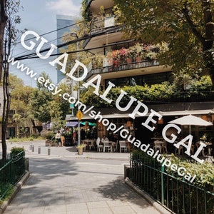 Descarga Digital de Alta Resolución - 8x10- Ciudad de México - Plantas - CDMX - Arte de pared imprimible