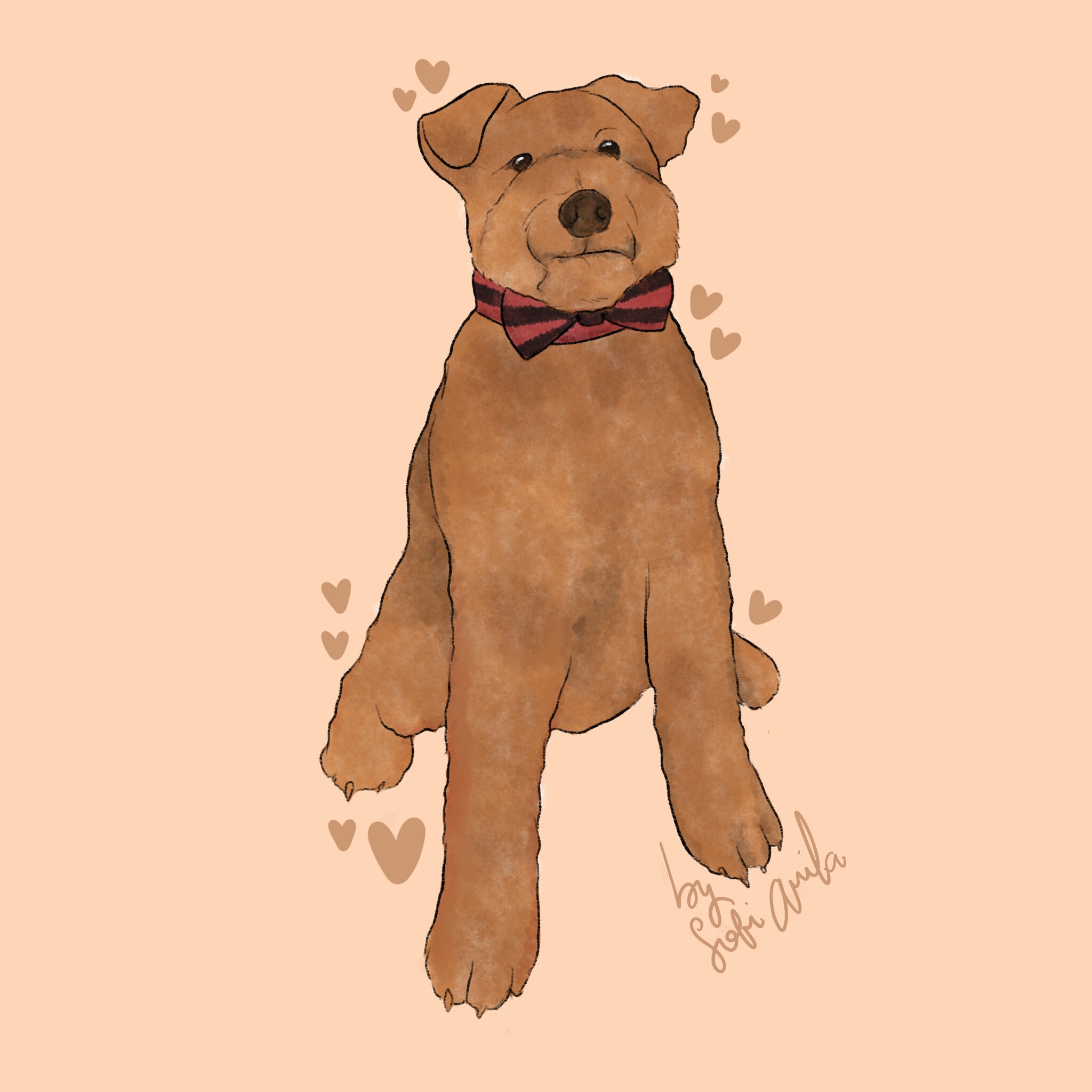 Custom Digital Pet Illustration Etsy India