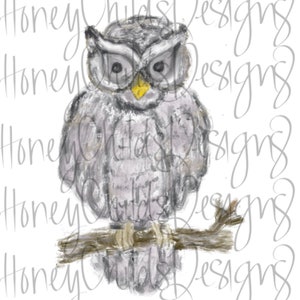 Grey Owl PNG