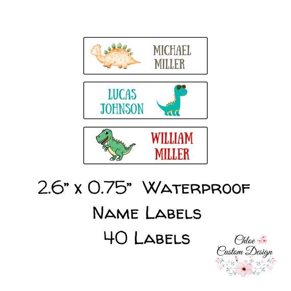 Dinosaur Name Stickers, 30 Personalized Dino Stickers, Dishwasher Safe  Waterproof Labels for School, Camp, Daycare, school supplies