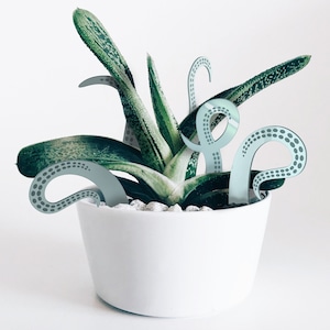 Planta de monstruo / Maceta con tentáculos de pulpo para decorar / Licencia comercial / Archivos de corte listos para láser Svg