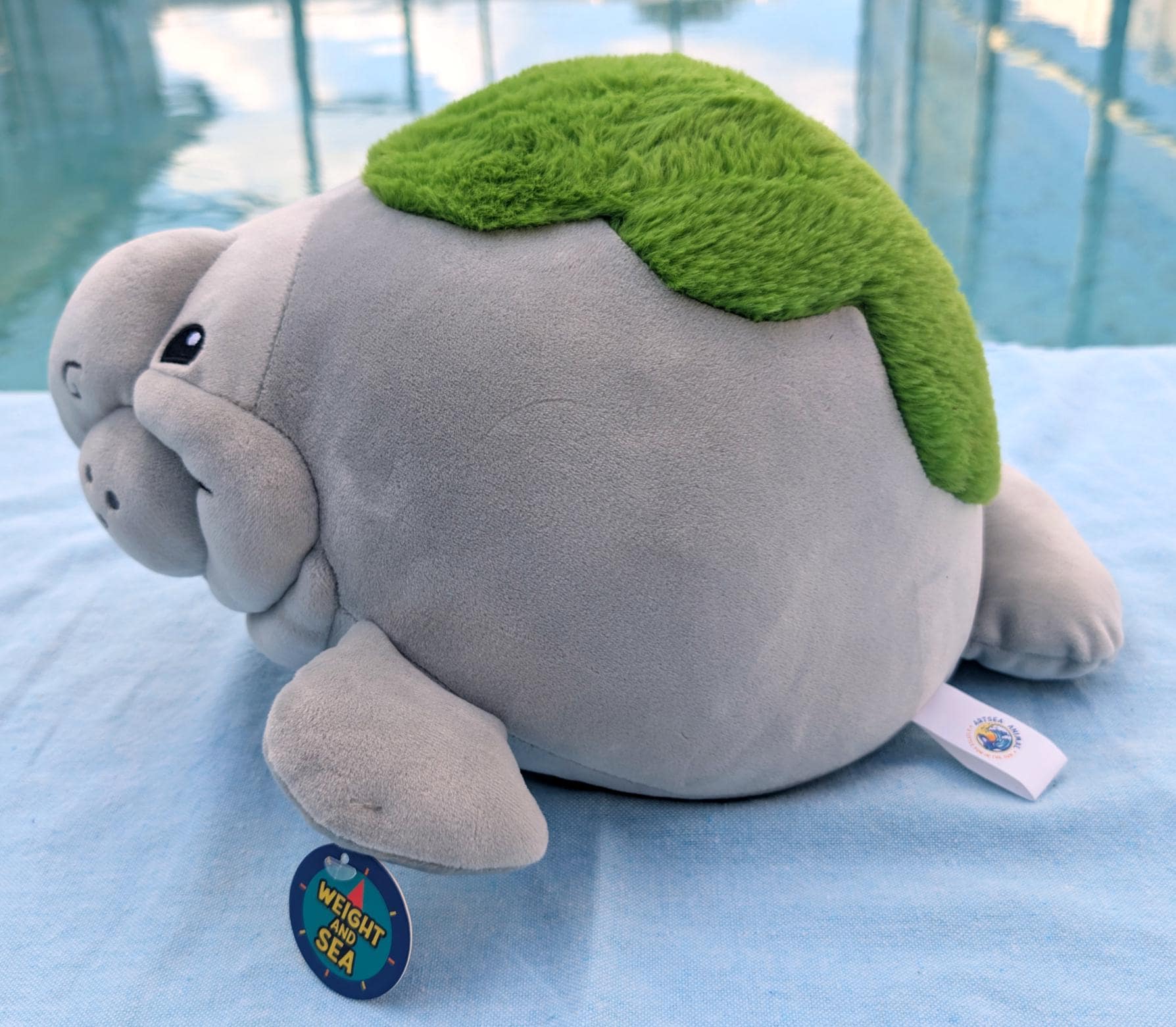 4 Pound BIG Weighted Manatee Plush - Etsy