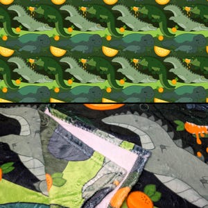 Florida AF Fleece Blanket