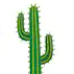 Peut inclure: Un cactus vert avec deux bras, un de chaque c&ocirc;t&eacute; de la tige principale. Le cactus a une texture piquante.