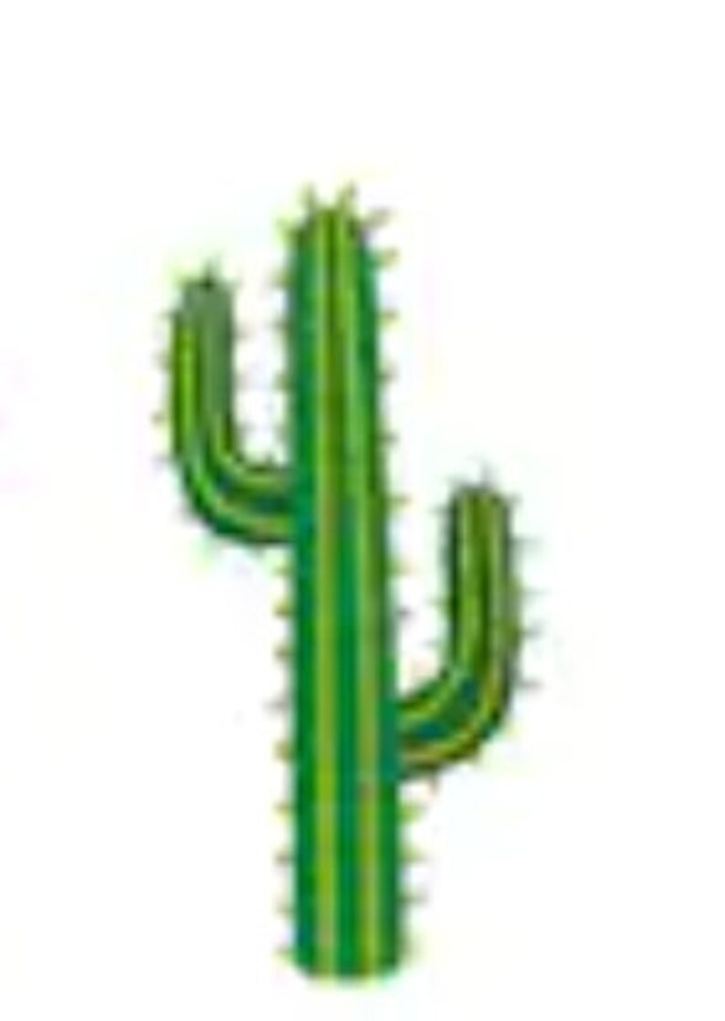 Peut inclure: Un cactus vert avec deux bras, un de chaque c&ocirc;t&eacute; de la tige principale. Le cactus a une texture piquante.