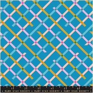 May include: A teal fabric with a grid pattern of intersecting lines in gold, light blue, pink, and green. The fabric has a ruler along the bottom with the text "RUBY STAR SOCIETY".