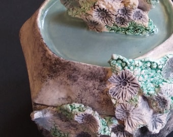 Handmade Hexagonal Ceramic Box, Low Tide Fossil Design, Coastal Decor