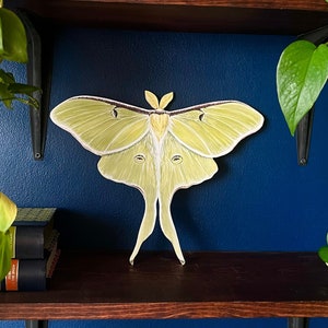 Luna Moth Print Wood Cutout | Wall Art | Cottage Core and Boho Decor | Wall Hanging