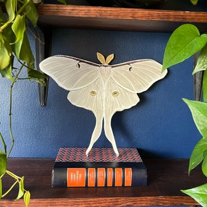 White Luna Moth Wood Cutout Print