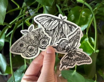 Illustrated Moths Sticker Pack