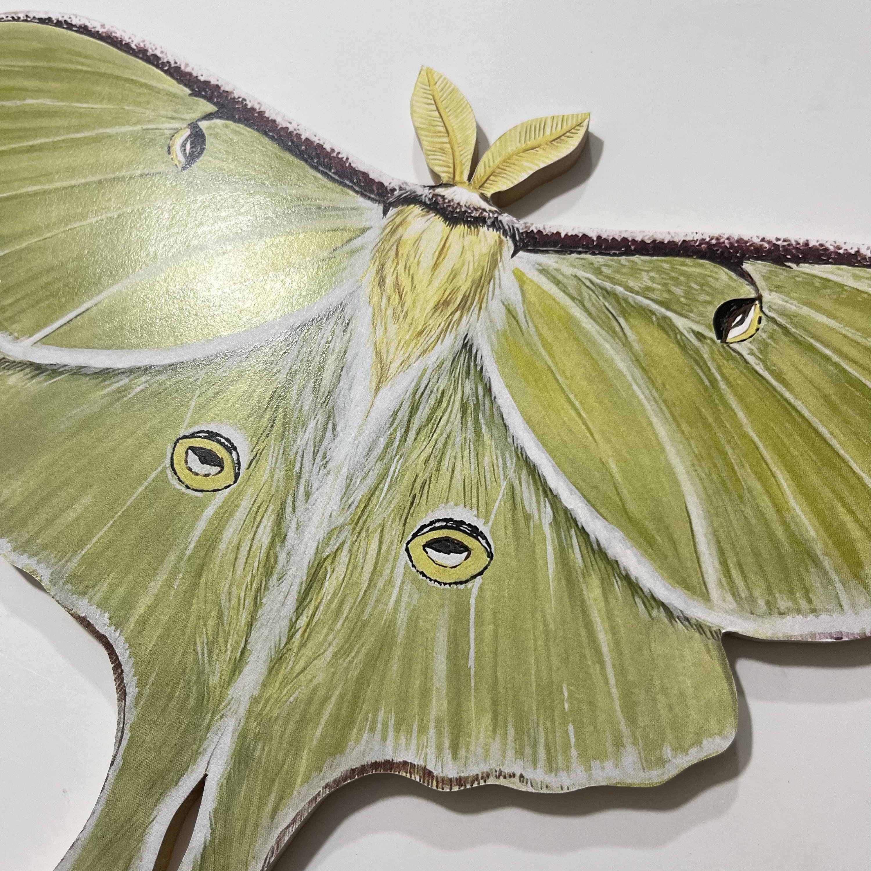 Luna Moth Print Wood Cutout | Wall Art | Cottage Core and Boho Decor ...